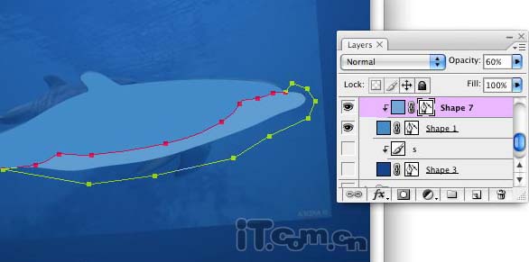 Photoshop制作可爱的卡通海豚图片